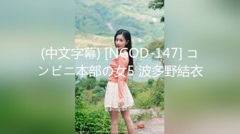 (中文字幕) [NGOD-147] コンビニ本部の女5 波多野結衣