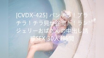 [CVDX-425] パンチラ！ブラチラ！チラ見せ谷間！！ランジェリーおばさんの中出し誘惑SEX 30人4時間