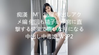 痴漢‘M’覚醒 中出しアクメ編 何回も精子が子宮に直撃する快楽で言いなりになる中出し中毒娘 WSP2