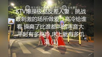 KTV爆操极品反差人妻，挑战最刺激的场所做爱，高冷给谁看 操爽了比谁都叫的声音大 平时有多高冷 床上就有多饥渴 (1)