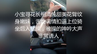 小宝寻花长相清纯甜美花臂纹身嫩妹，舌吻调情扣逼上位骑坐后入猛操，被操的呻吟大声非常诱人